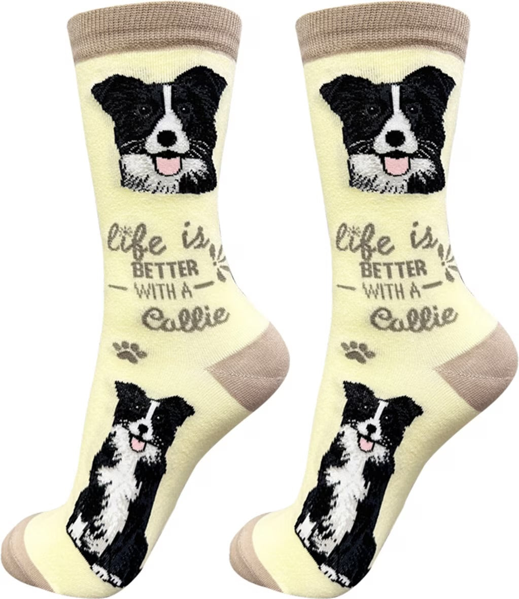 BORDER COLLIE Dog Adult Unisex Socks By E&S Pets Choose Style