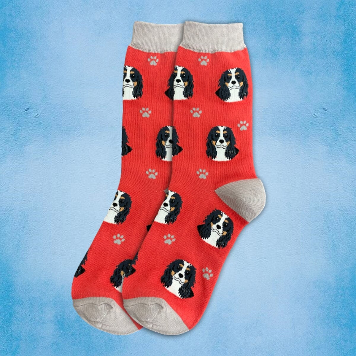 CAVALIER KING CHARLES Tri-Color Dog Adult Unisex Socks SOCK DADDY Brand By E&S Pets