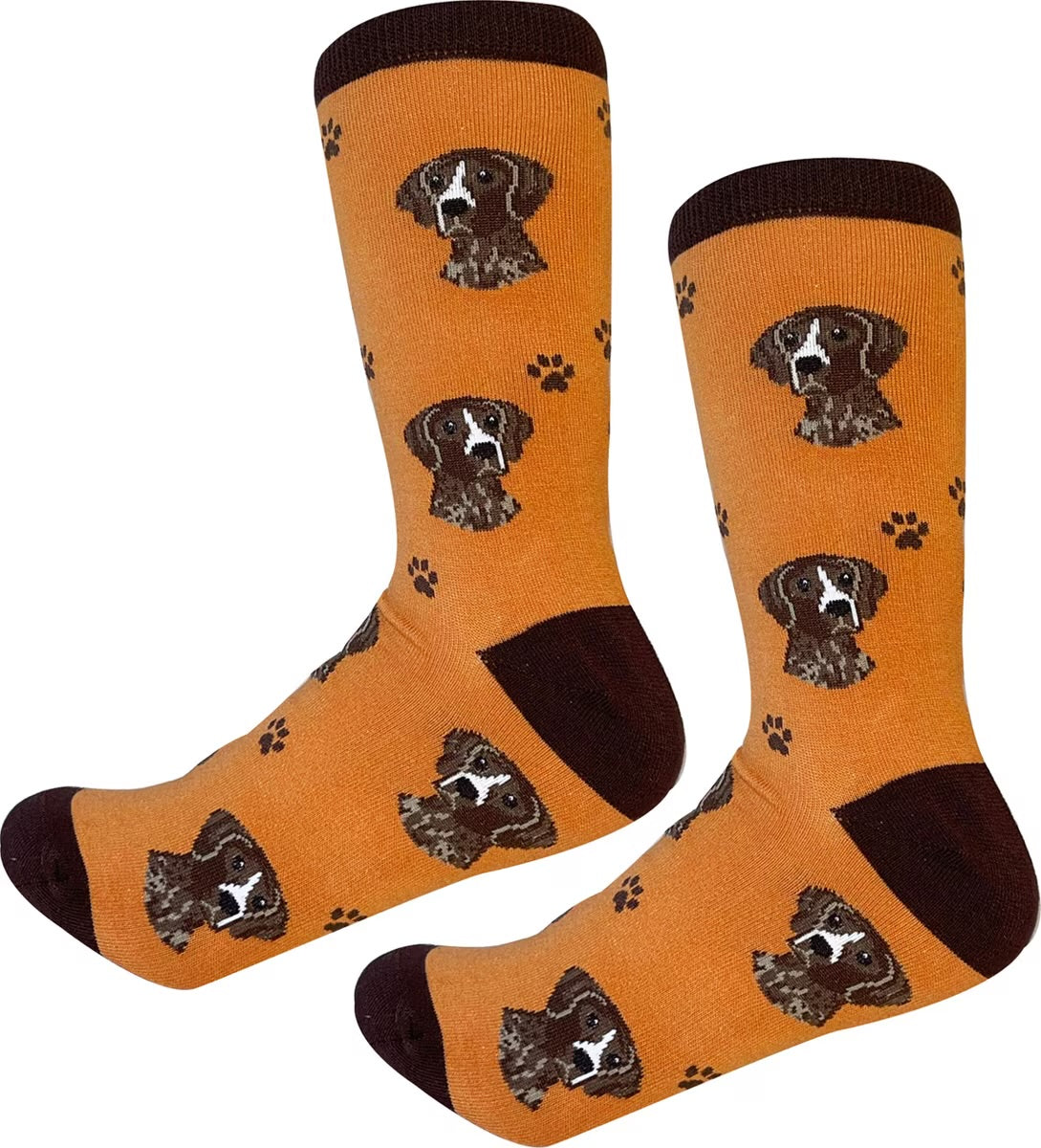GERMAN SHORTHAIRED POINTER Dog Adult Unisex Socks Choose Style