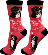 BERNESE MOUNTAIN Dog Adult Unisex Socks By E&S Pets Choose style