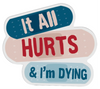 FUNATIC Brand IT ALL HURTS & I’M DYING Vinyl Sticker - Novelty Socks And Slippers