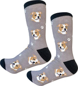 PIT BULL Dog Adult Unisex Socks By E&S Pets Choose Style
