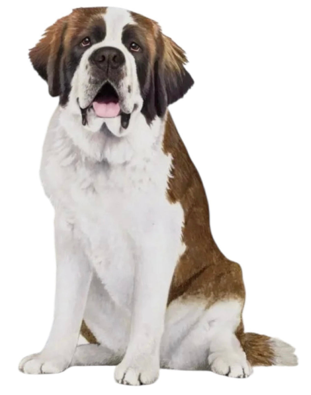 DOG & CAT Vinyl Stickers By E&S Pets (Choose Style) - Novelty Socks And Slippers