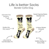 BORDER COLLIE Dog Adult Unisex Socks By E&S Pets Choose Style