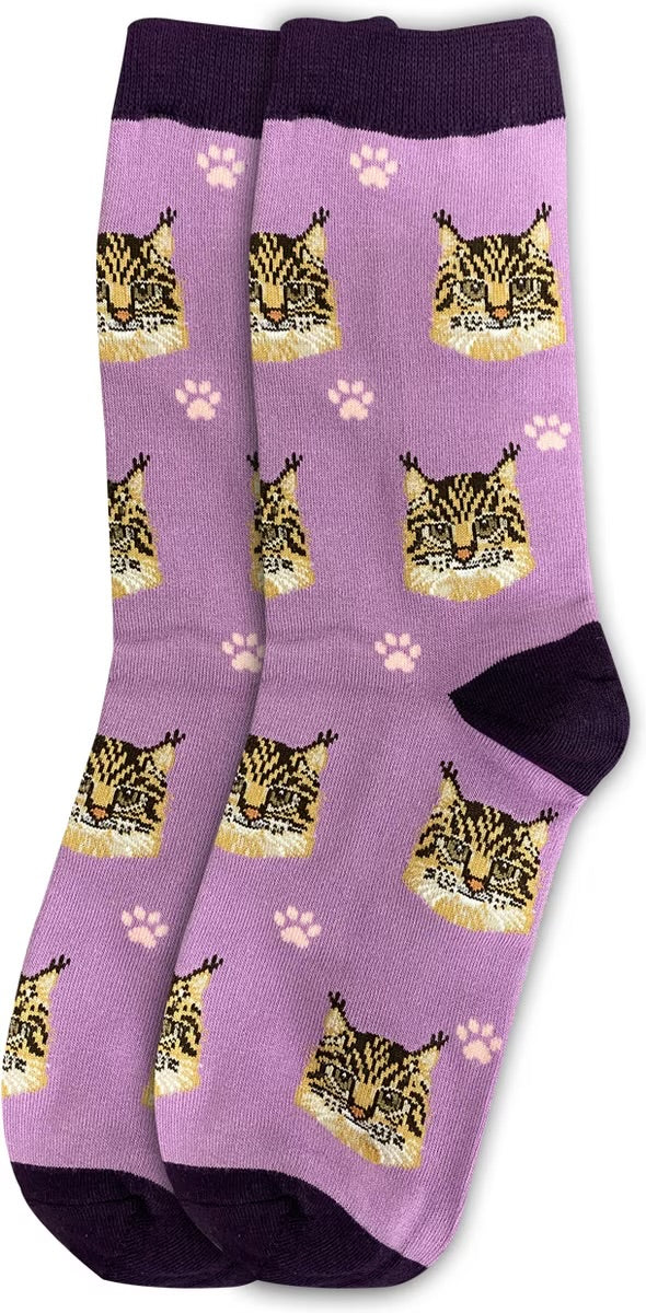 MAINE COON Cat Adult Unisex Socks By E&S Pets Choose Style