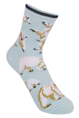 FUNATIC Brand Unisex Kids POLAR BEAR Socks Polar Bears All Over Kids Age 7-10 - Novelty Socks And Slippers