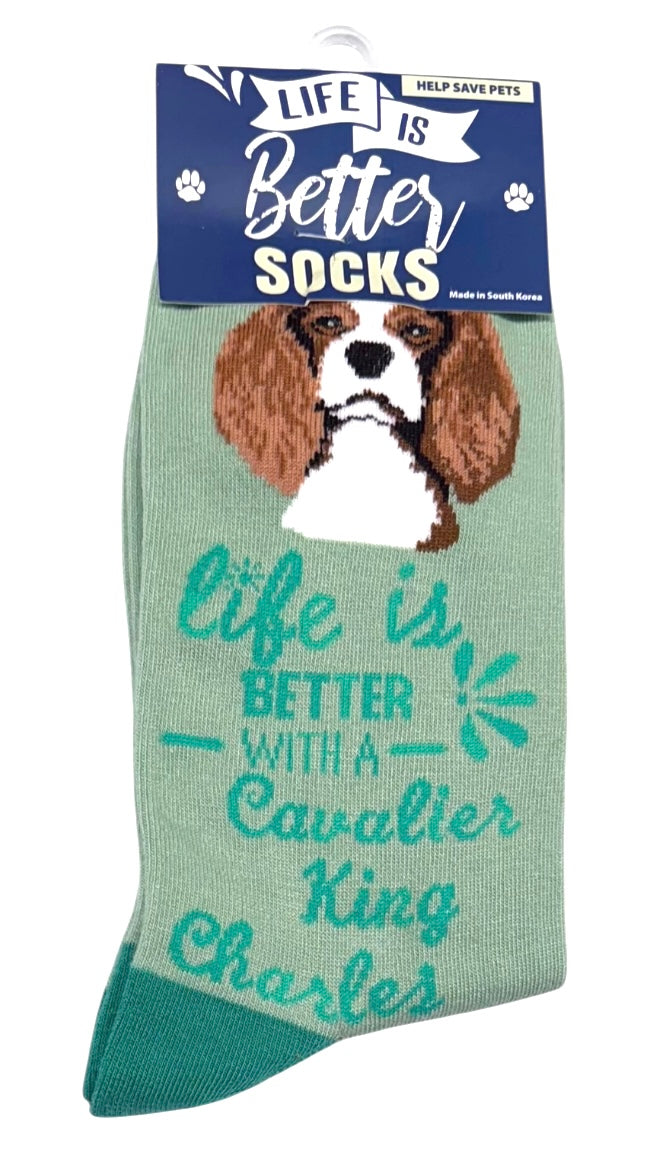 CAVALIER KING CHARLES Dog Unisex Socks By E&S Pets CHOOSE SOCK DADDY, HAPPY TAILS, LIFE IS BETTER - Novelty Socks And Slippers