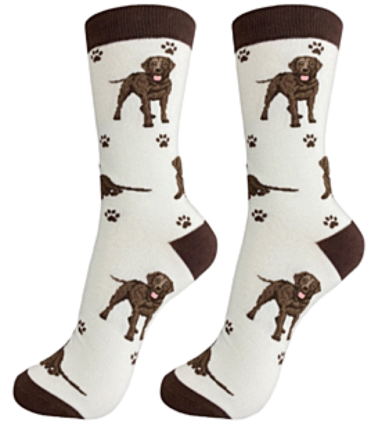 CHOCOLATE LABRADOR Dog Unisex Socks By E&S Pets - Novelty Socks for Less