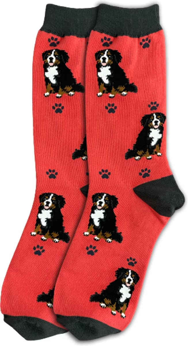 BERNESE MOUNTAIN Dog Adult Unisex Socks By E&S Pets Choose style
