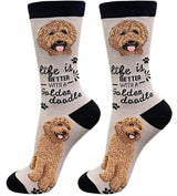 GOLDENDOODLE Dog Unisex Socks By E&S Pets CHOOSE SOCK DADDY, HAPPY TAILS, LIFE IS BETTER - Novelty Socks for Less