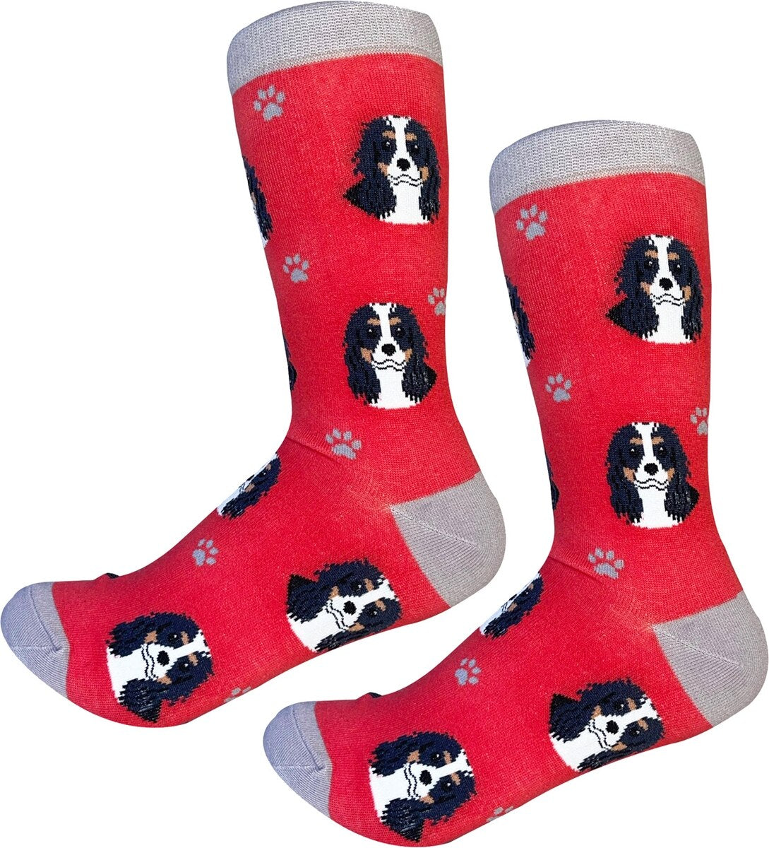 CAVALIER KING CHARLES Tri-Color Dog Adult Unisex Socks SOCK DADDY Brand By E&S Pets