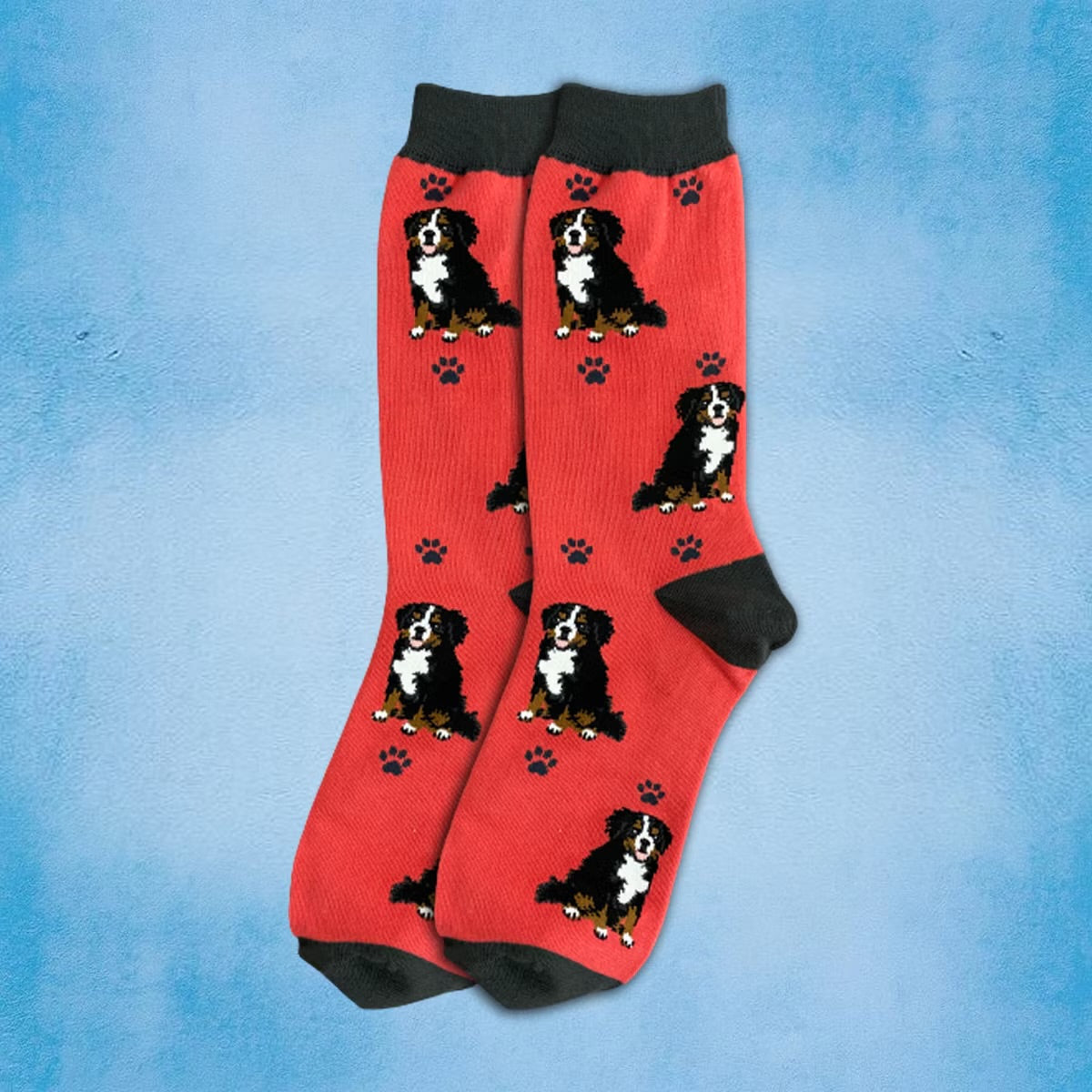 BERNESE MOUNTAIN Dog Adult Unisex Socks By E&S Pets Choose style