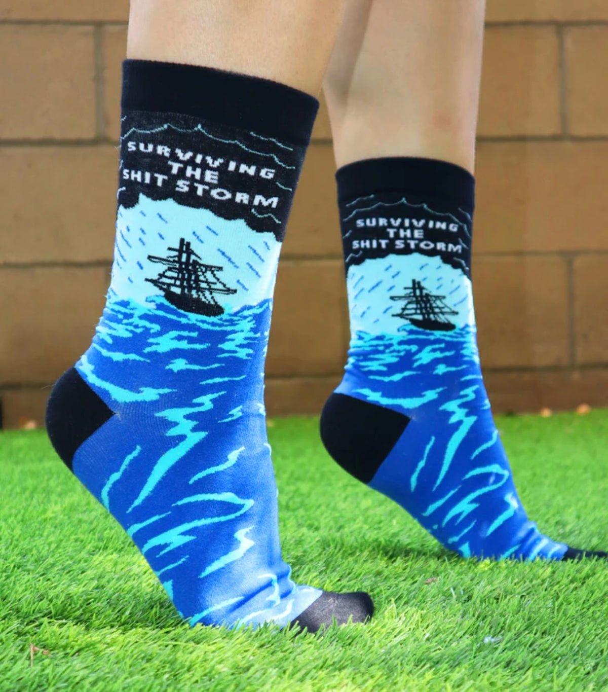 SURVIVING THE SHIT STORM Ladies Socks GROOVY THINGS Brand - Novelty Socks And Slippers