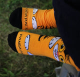 CURIOUS ORANGE CAT Unisex Kids Socks Kids Age 3-5 By SOCK PANDA Brand - Novelty Socks And Slippers
