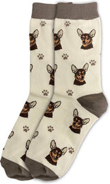 BLACK CHIHUAHUA Dog Adult Unisex Socks By E&S Pets Choose Style