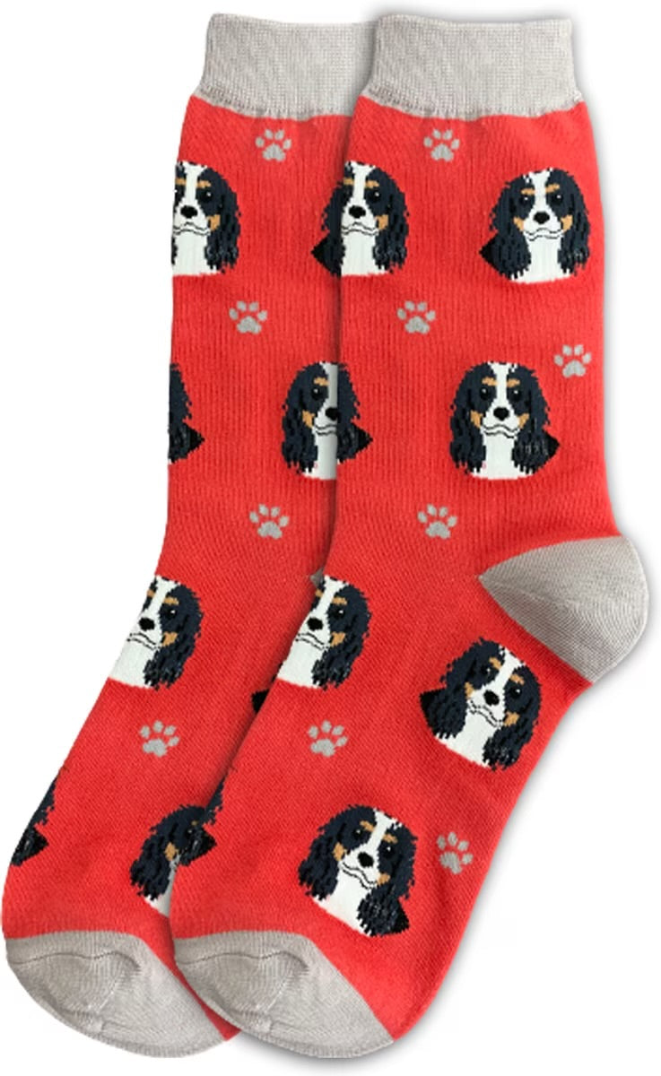 CAVALIER KING CHARLES Tri-Color Dog Adult Unisex Socks SOCK DADDY Brand By E&S Pets