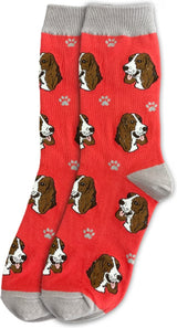 BASSET HOUND Dog Adult Unisex Socks By E&S Pets Choose Style
