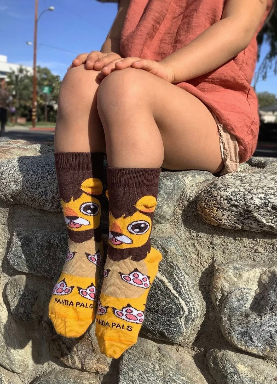 A HAPPY LION With 3-D Ears Unisex Kids Socks Ages 3-5 Sock Panda Brand Shoe Size 7-12 - Novelty Socks And Slippers