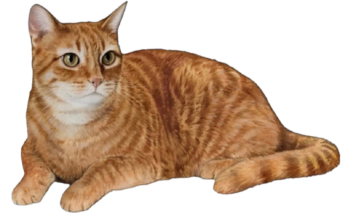 DOG & CAT Vinyl Stickers By E&S Pets (Choose Style) - Novelty Socks And Slippers