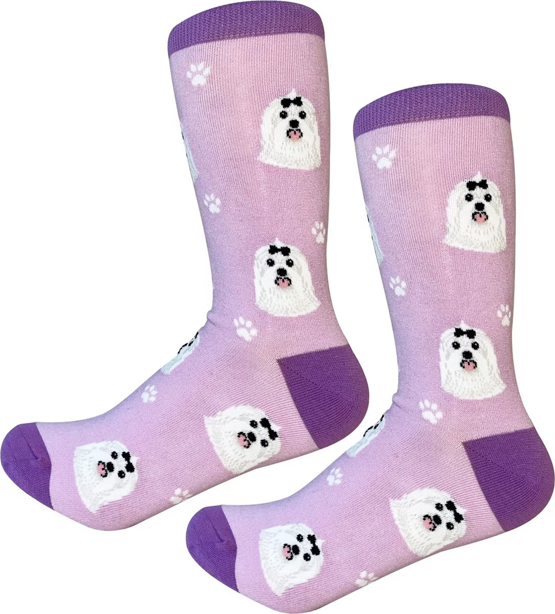 MALTESE Dog Adult Unisex Socks By E&S Pets Choose Style