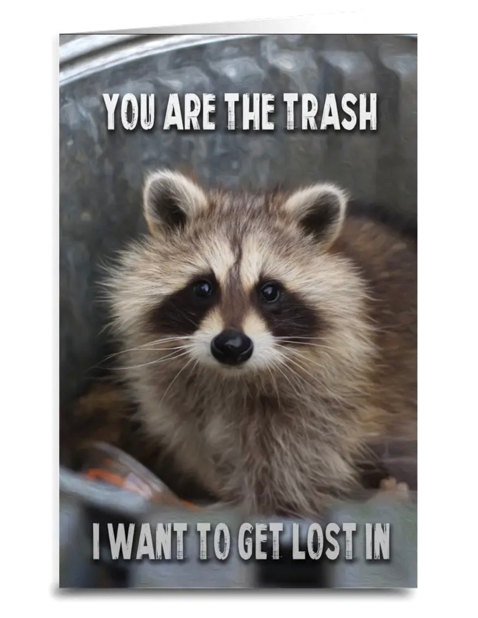 Love Greeting Card With Raccoon YOU ARE THE TRASH I WANT TO GET LOST IN - Novelty Socks And Slippers
