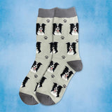 BORDER COLLIE Dog Adult Unisex Socks By E&S Pets Choose Style