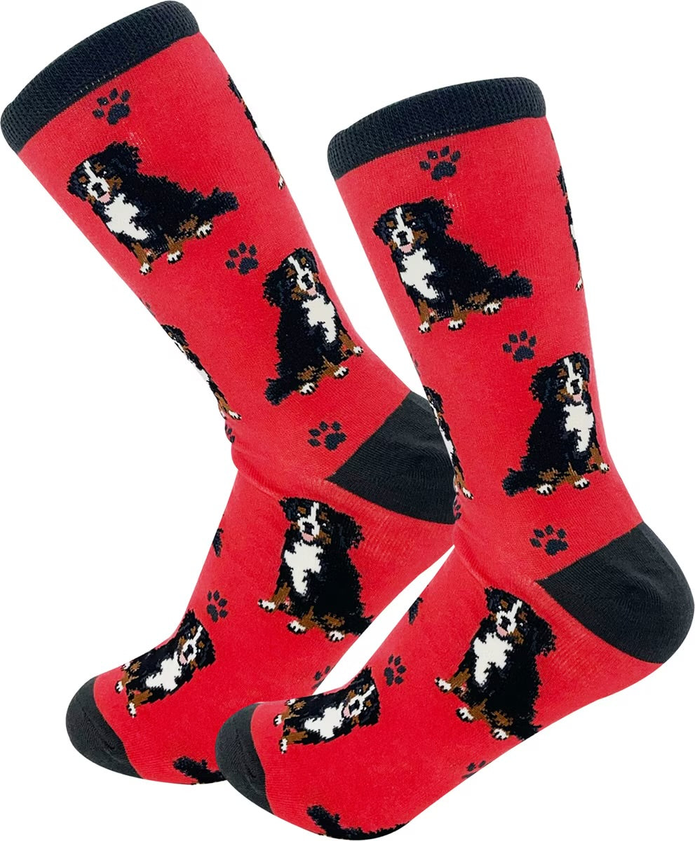 BERNESE MOUNTAIN Dog Adult Unisex Socks By E&S Pets Choose style