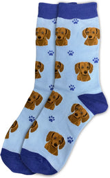 RED DACHSHUND Dog Adult Unisex Socks By E&S Pets Choose Style