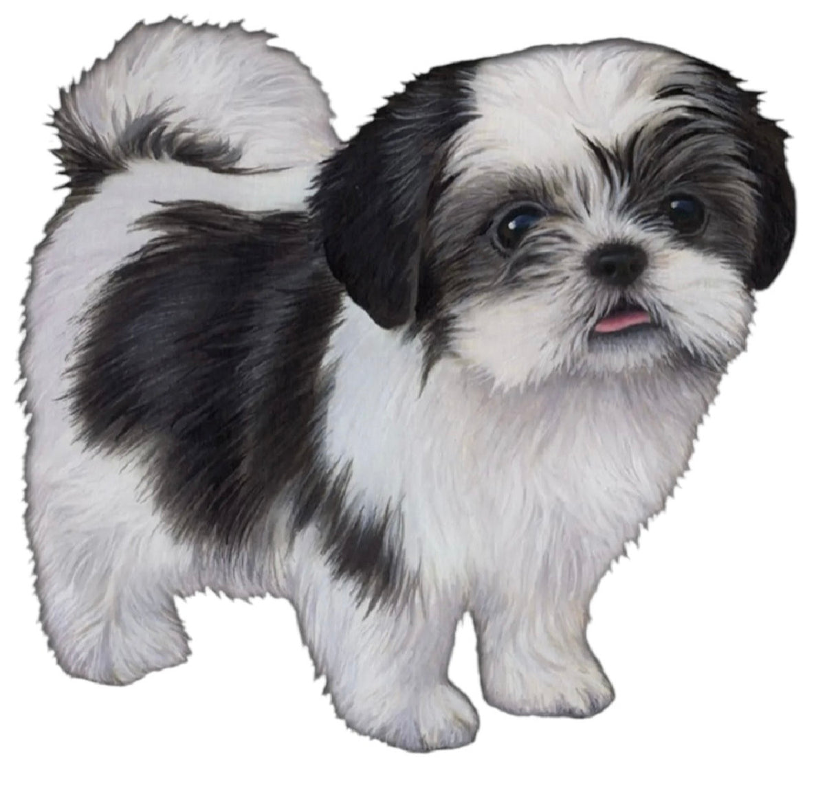 DOG & CAT Vinyl Stickers By E&S Pets (Choose Style) - Novelty Socks And Slippers