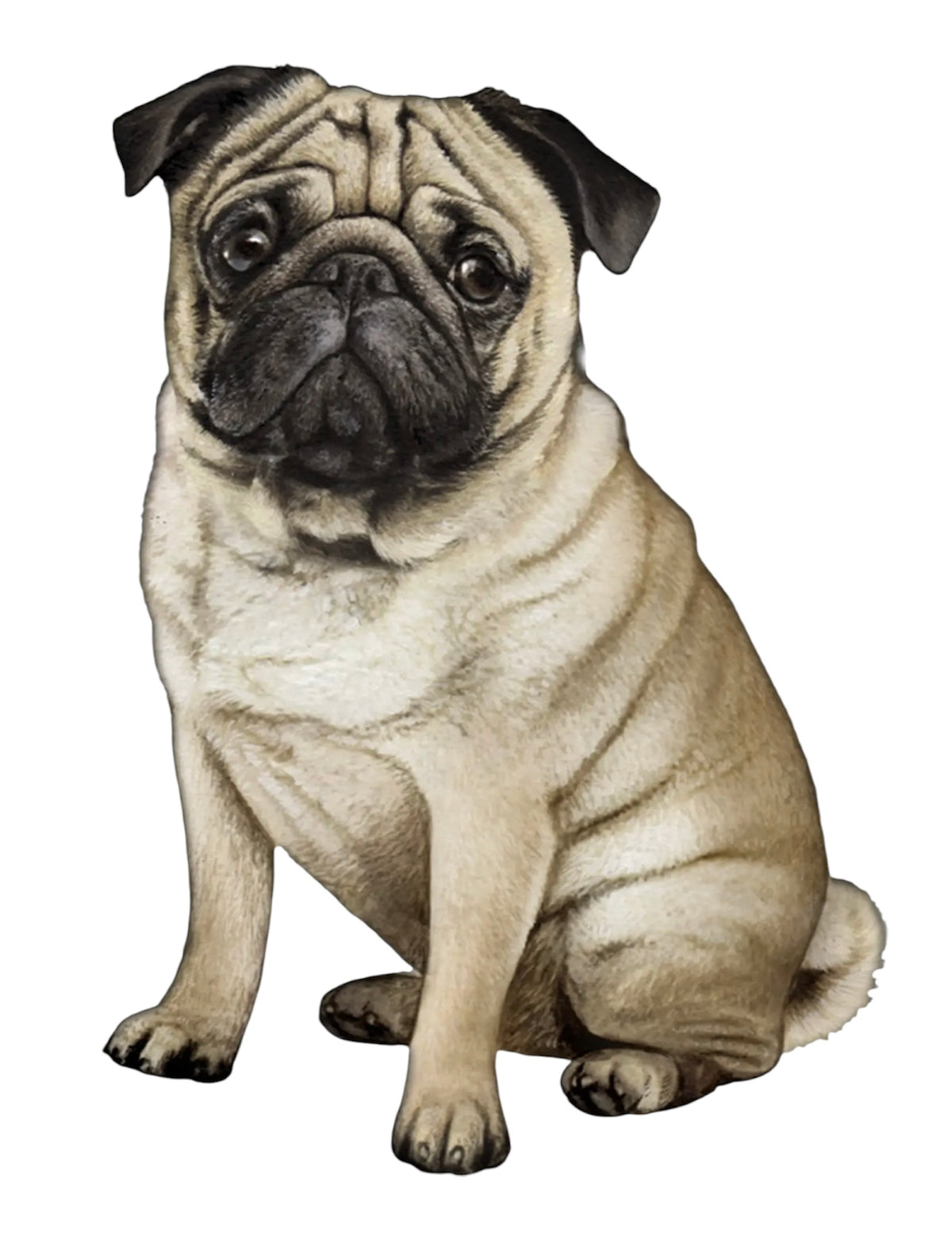 DOG & CAT Vinyl Stickers By E&S Pets (Choose Style)