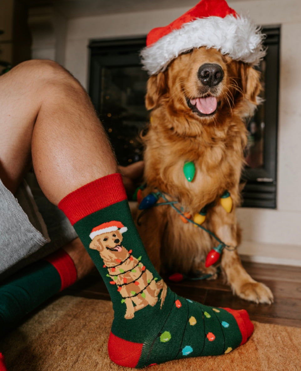 SOCKSMITH Brand Men’s CHRISTMAS DOG Socks ‘DOG GONE LIGHTS’ - Novelty Socks And Slippers