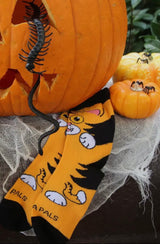 CURIOUS ORANGE CAT Unisex Kids Socks Kids Age 3-5 By SOCK PANDA Brand - Novelty Socks And Slippers