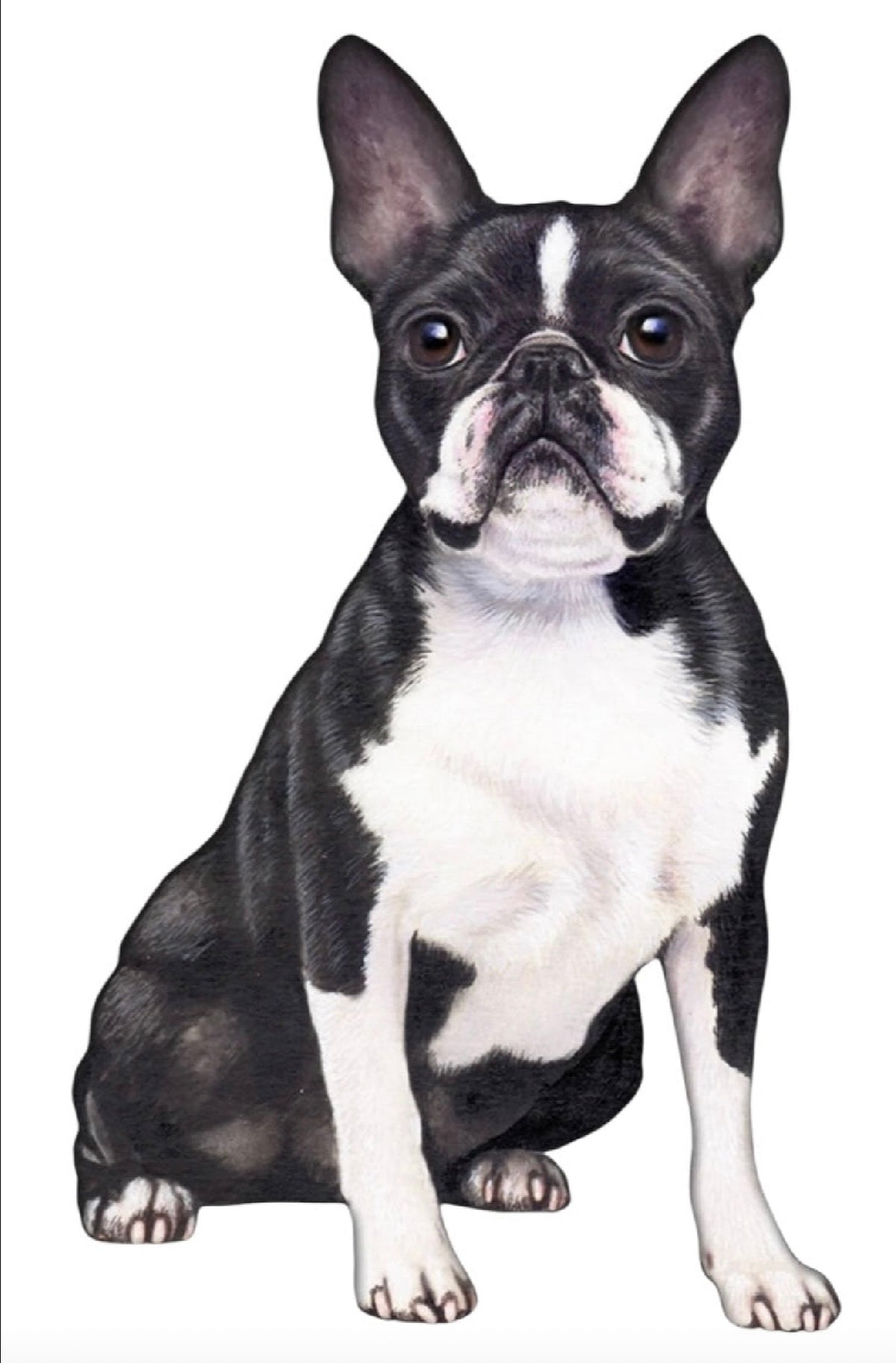 DOG & CAT Vinyl Stickers By E&S Pets (Choose Style) - Novelty Socks And Slippers