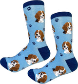 BEAGLE Dog Unisex Socks By E&S Pets Choose Style