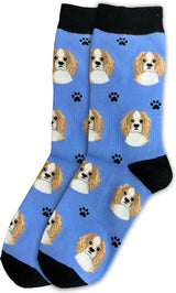 CAVALIER KING CHARLES Dog Adult Unisex Socks By E&S Pets Choose Style
