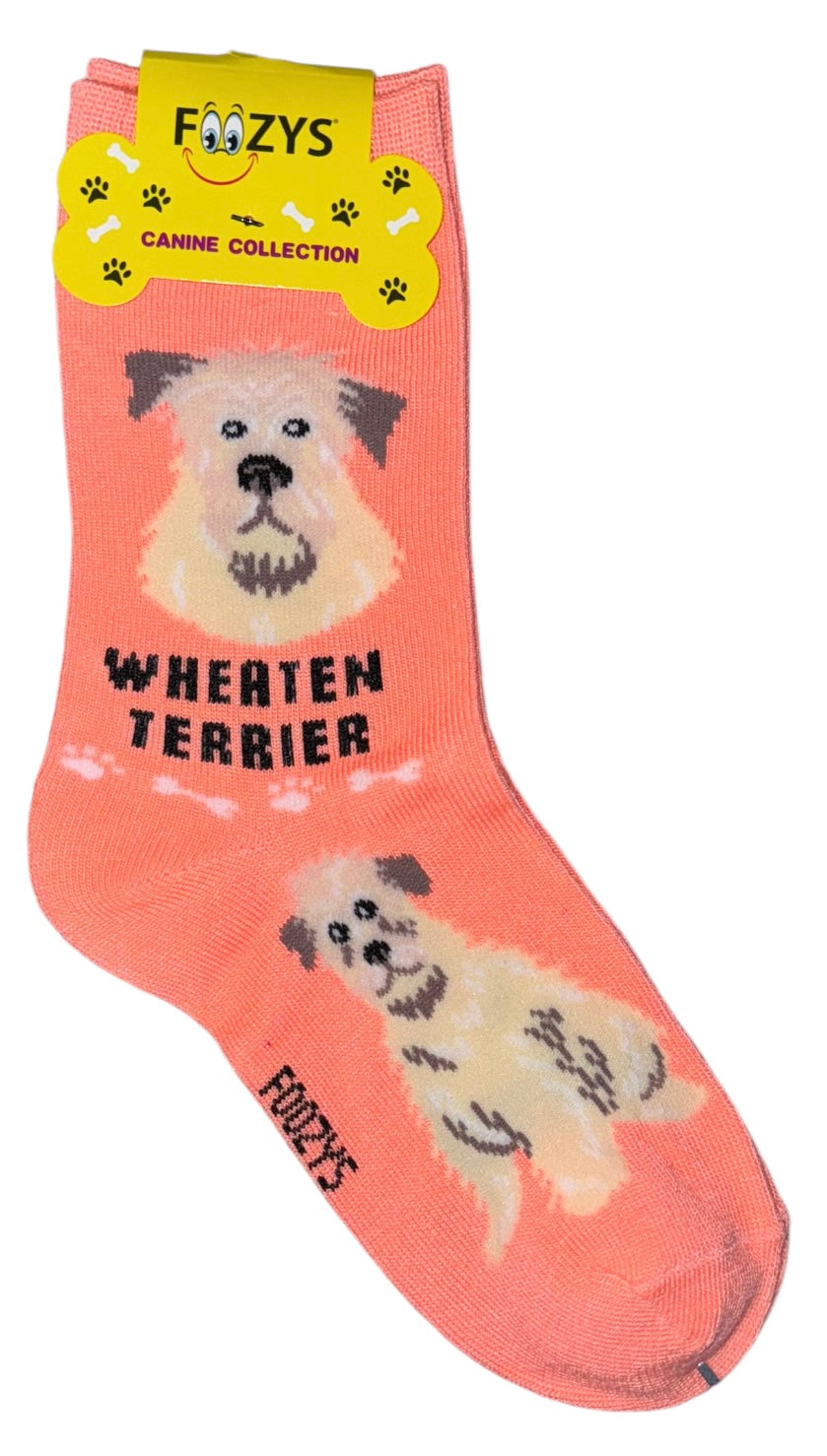 FOOZYS Brand Ladies WHEATEN TERRIER Dog Socks - Novelty Socks And Slippers