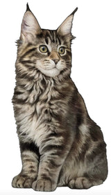 DOG & CAT Vinyl Stickers By E&S Pets (Choose Style) - Novelty Socks And Slippers