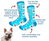 FRENCH BULLDOG Unisex Socks By E&S Pets CHOOSE SOCK DADDY, HAPPY TAILS, LIFE IS BETTER - Novelty Socks for Less
