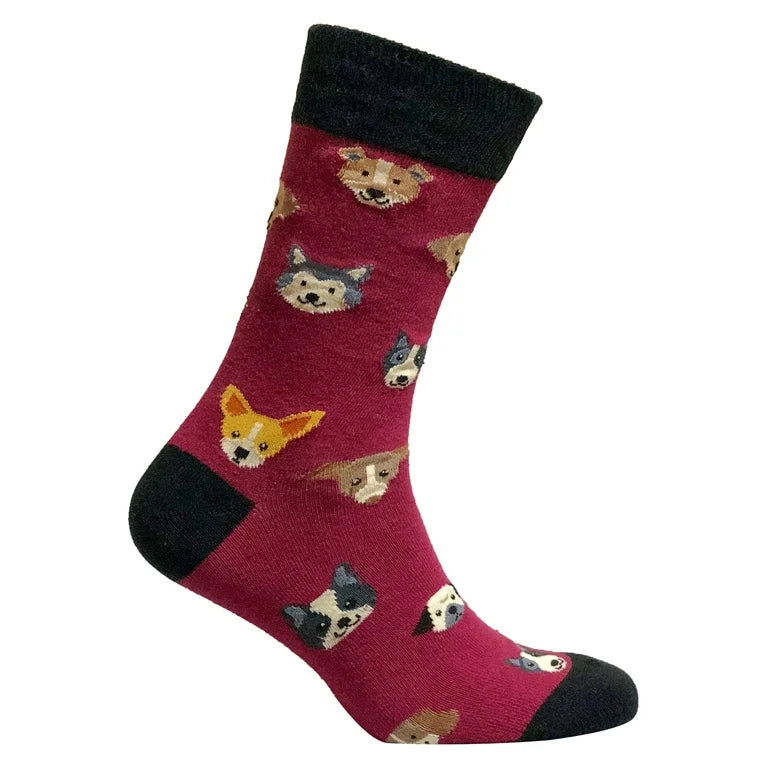 CUTE DOGS Kids Socks Kids Age 7-10 Shoe Size 1-5 DOGS ALL OVER SOCKS N SOCKS Brand