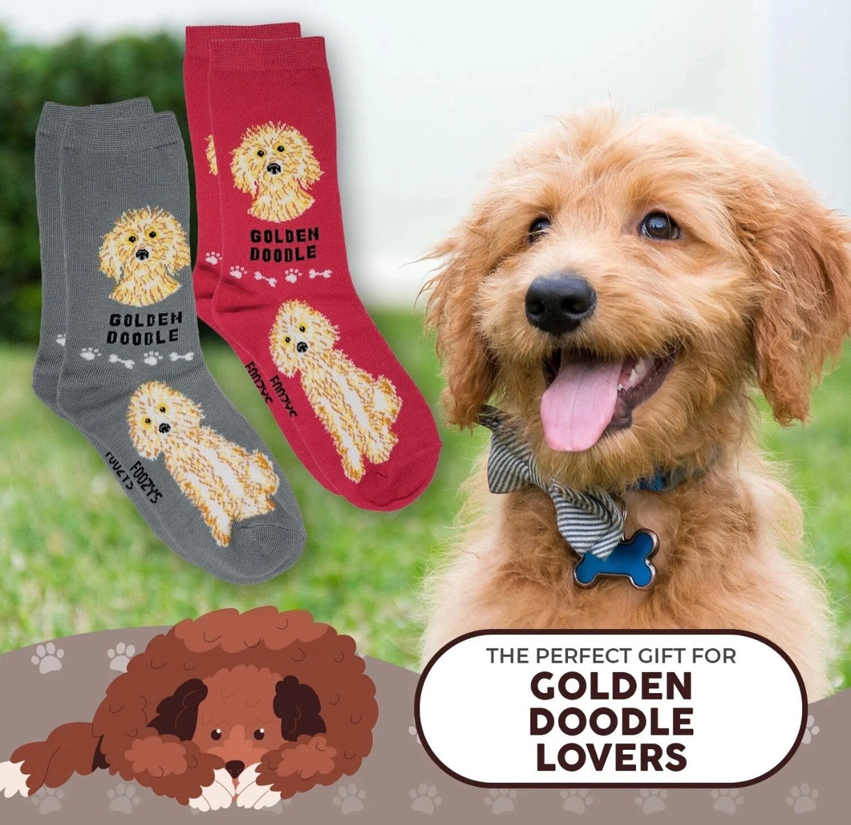 GOLDENDOODLE DOG Ladies 2 Pair Of Socks FOOZYS Brand