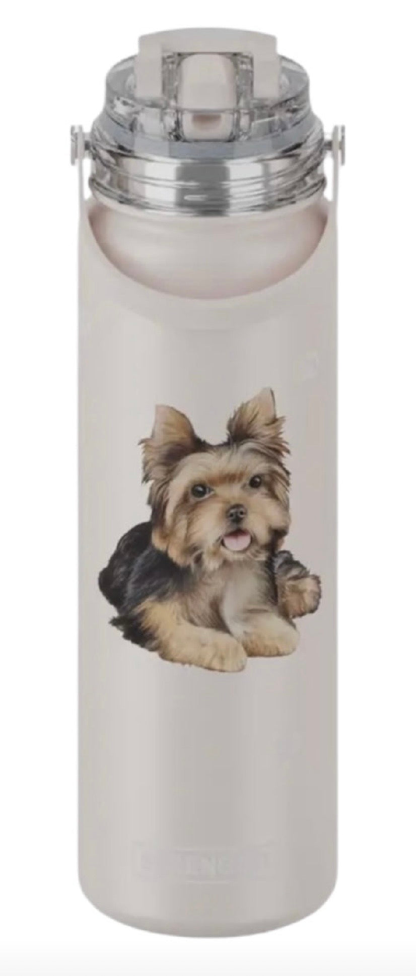 Dog & Cat Stainless Steel 24 Oz. Water Bottle By E&S Pets (Choose Breed) - Novelty Socks And Slippers