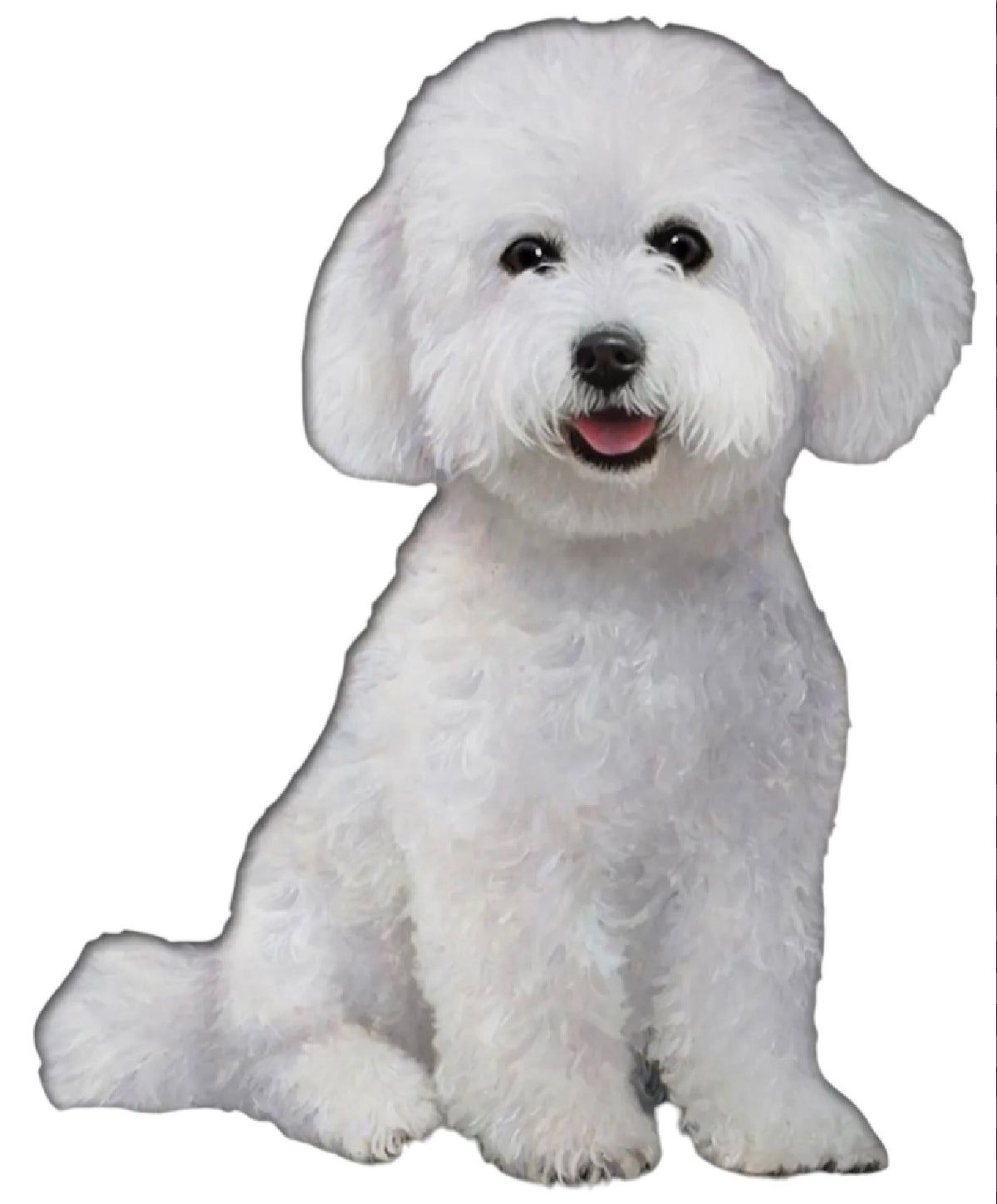 DOG & CAT Vinyl Stickers By E&S Pets (Choose Style) - Novelty Socks And Slippers