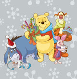 DISNEY WINNIE THE POOH Ladies 9 Pair Of CHRISTMAS Low Show Socks