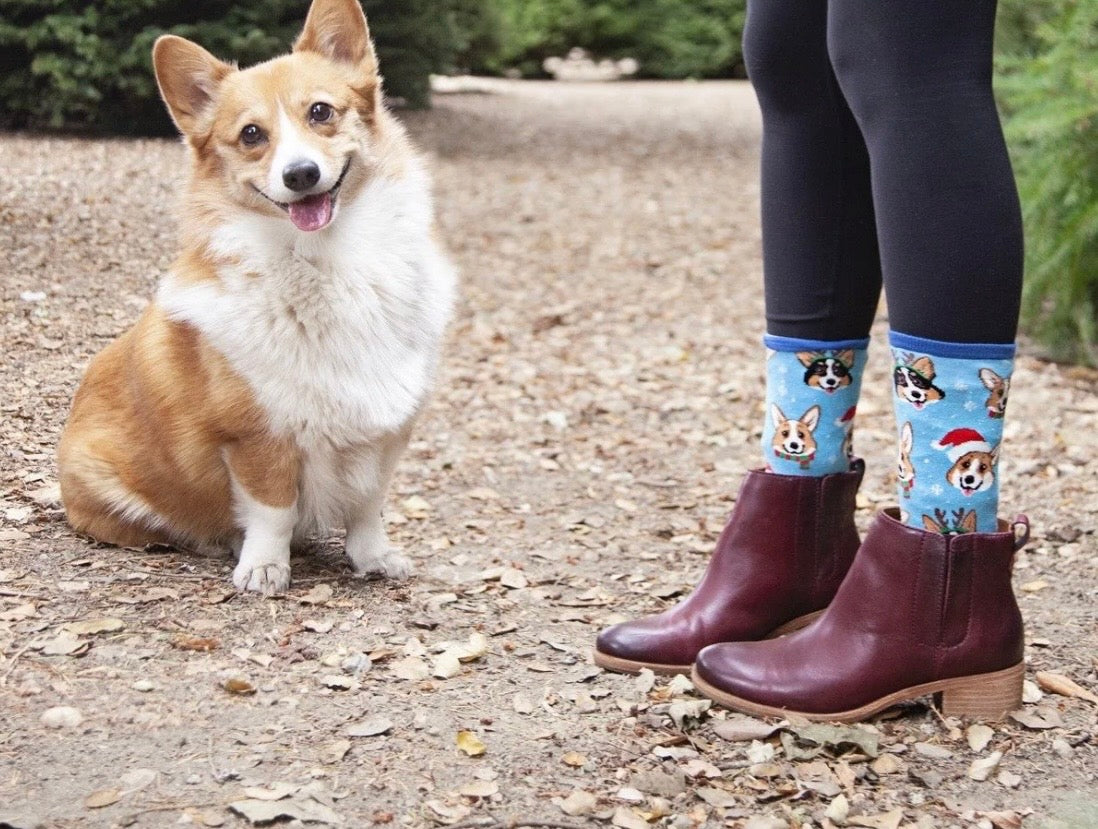 HAPPY PAWLIDAYS Ladies Welsh Corgi Dog Christmas Socks SOCKSmith Brand