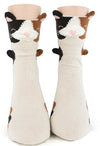 FOOT TRAFFIC Brand Kids CALICO CAT 3-D Crew Socks Youth Shoe Size 12-5 - Novelty Socks for Less