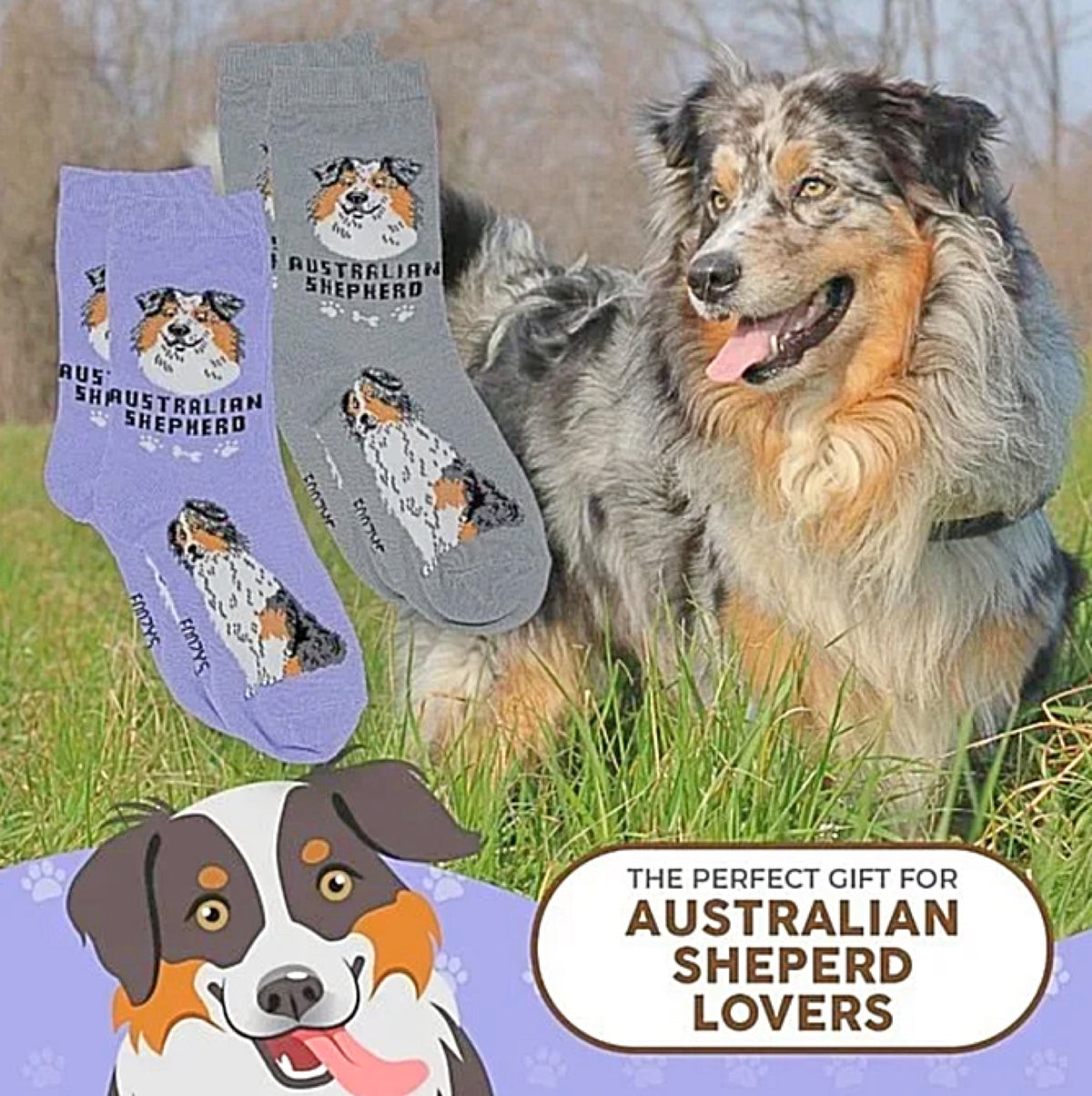 FOOZYS BRAND Ladies 2 Pair AUSTRALIAN SHEPHERD Socks - Novelty Socks for Less