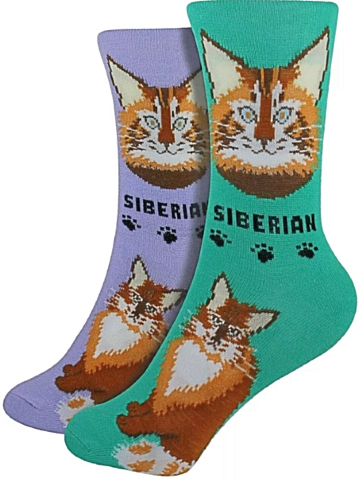 FOOZYS Ladies 2 Pair SIBERIAN CAT Socks - Novelty Socks for Less