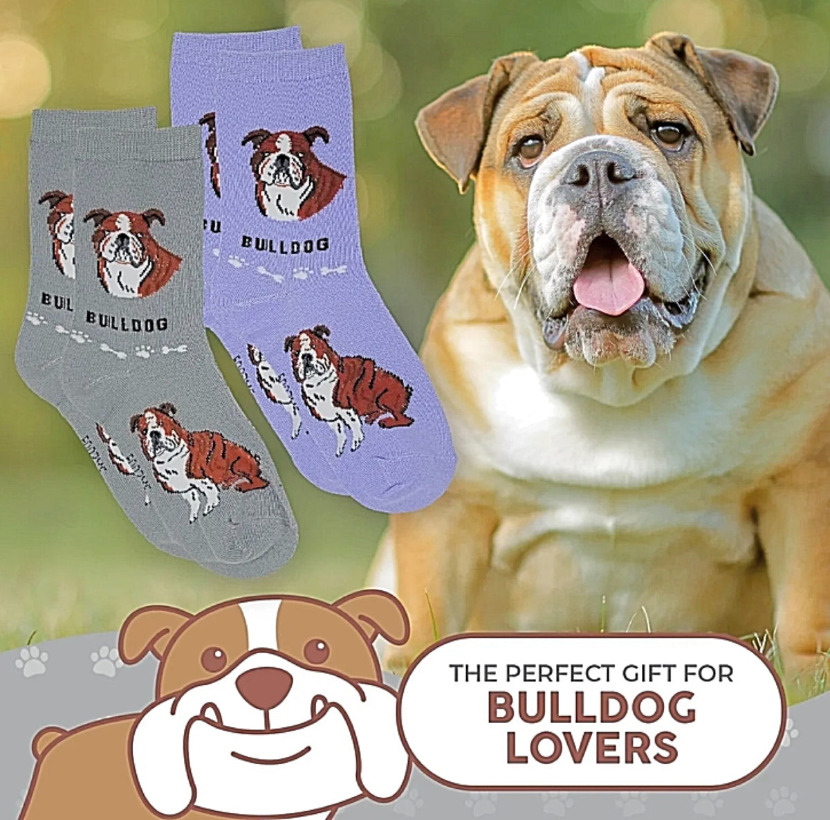 FOOZYS Ladies 2 Pair BULLDOG Socks - Novelty Socks for Less