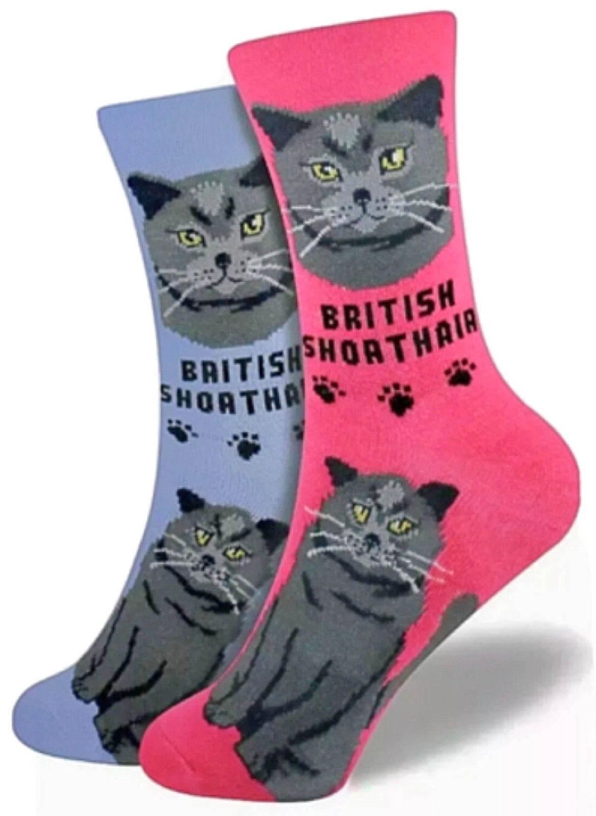 FOOZYS Ladies 2 Pair BRITISH SHORTHAIR Cat - Novelty Socks for Less