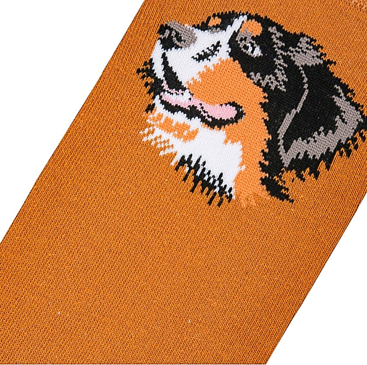 BERNESE MOUNTAIN Dog Ladies Socks COOL SOCKS Brand - Novelty Socks for Less
